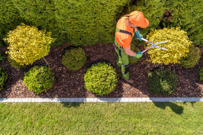 Lawn Mowing