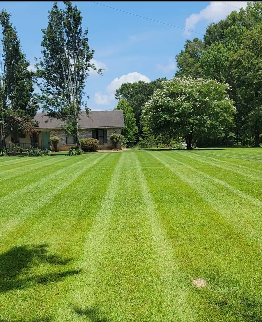 Lawn